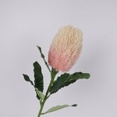 Artificial Native Banksia Pink Banksia